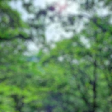 Ağaç ile bulanık doğa arkaplanı