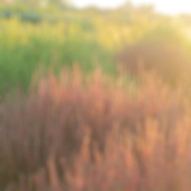 Renkli günbatımının soyut arkaplanı.