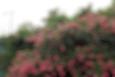 Ağaçla soyut bulanık doğa arkaplanı