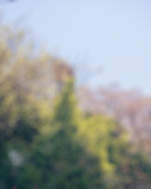 arka plan bulanık. arka plan.