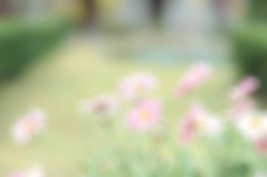 Şehirdeki çiçeklerin bulanık arkaplanı