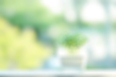 Taze yeşil çimenlerin bulanık arkaplanı beyaz bokeh