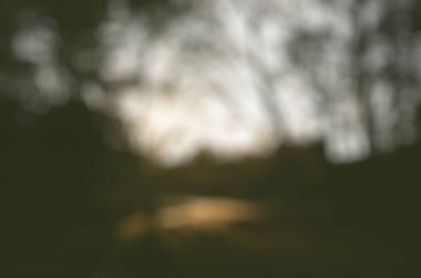 Yeşil yaprakların, bokeh ışıklarının ve gölgelerin bulanık arkaplanı.