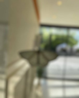 Restoran iç bulanıklık