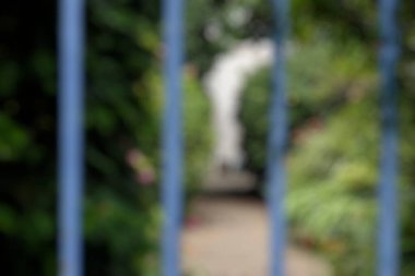 Çitle bahçenin bulanık görüntüsü