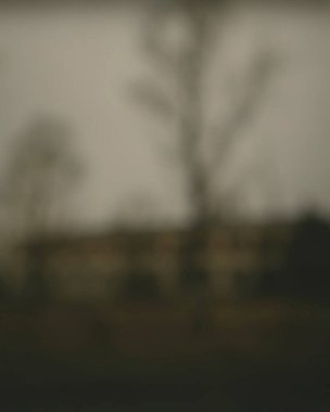 Ağaçlarla bulanık arkaplan