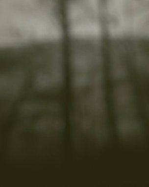 Orman ve dağların bulanık arkaplanı