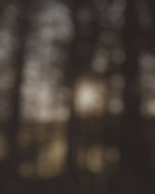 Ağaçlarla bulanık arkaplan