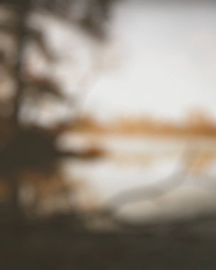 arka plan bulanık etkisi ile