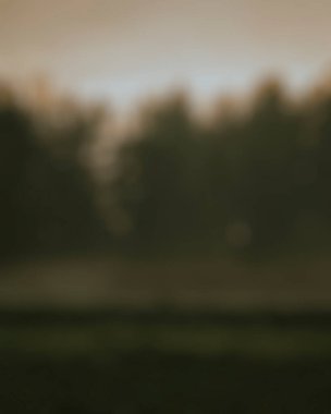 Sonbaharda orman ve ağaçlar bulanık, soyut arkaplan,