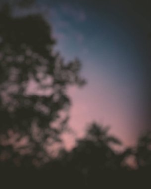 Bulanık arka plan ve ormanda gün batımı.