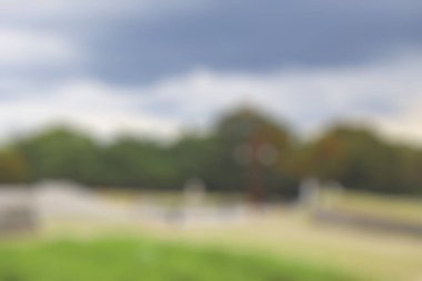 boş bulanık arkaplan, yazın ağaçlarla ve yapraklarla park et