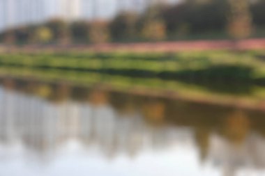 Gölcüklü ve ağaçların bulanık arkaplanı olan bulanık bir park.