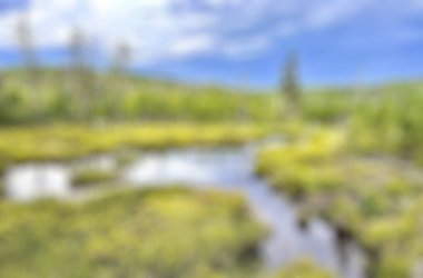 Bali Endonezya Seyahat Tema yaratıcı bulanıklık bokeh etkisi ile arka plan