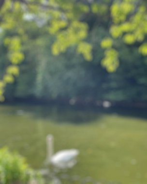 Parkta yeşil ağaçlar olan güzel gölün bulanık manzarası