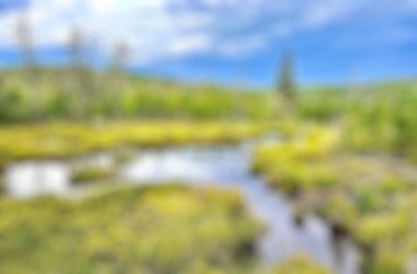 Bali Endonezya Seyahat Tema yaratıcı bulanıklık bokeh etkisi ile arka plan