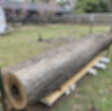 Arkaplan için bulanık ahşap dokusu ve kopyalama alanı