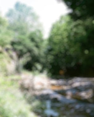 Bokeh ışıkları ile bulanık arkaplan