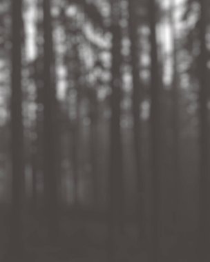 Siyah ve beyaz ormanın soyut arkaplanı