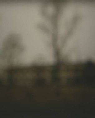 Ağaç dallarının bulanık arkaplanı