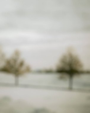 Kış manzarasının bulanık arkaplanı ve karla kaplı ağaçları.