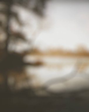 Güneşin gölgesi ile soyut arkaplan bulanıklığı.