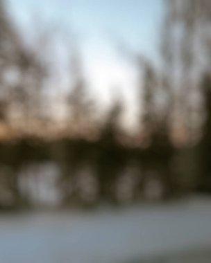 Ormandaki ağaçlarla bulanık arkaplan