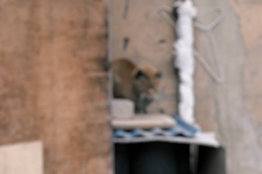 Beyaz duvarlı eski pencere