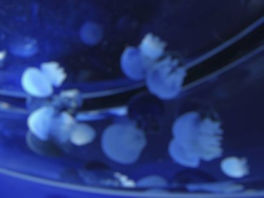 Mavi ve beyaz baloncuklu soyut arkaplan