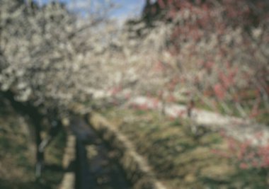 Bulanık arkaplan, soyut bulanık