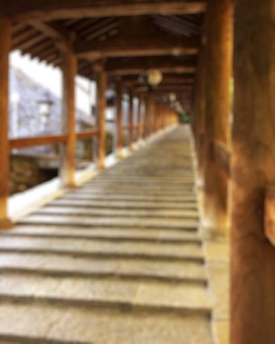 Ormanda ahşap köprü