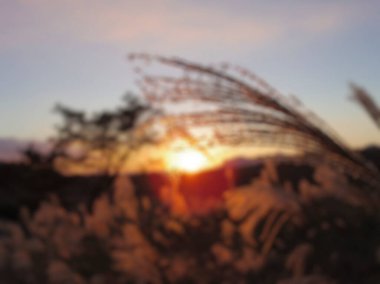 Bokeh ışıkları ile soyut arkaplan