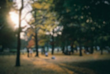 Ağaçlar ve yapraklarla dolu güzel bir sonbahar parkı