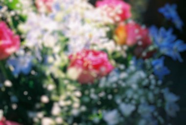 soyut çiçek ve bulanık arkaplan