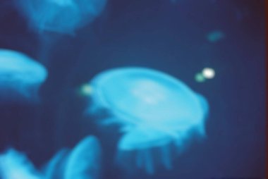 Mavi bokeh ve ışıkların soyut arkaplanı