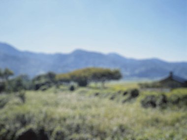 Sabahları dağın bulanıklığı.