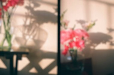 Güzel botanik fotoğrafı, doğal duvar kağıdı.