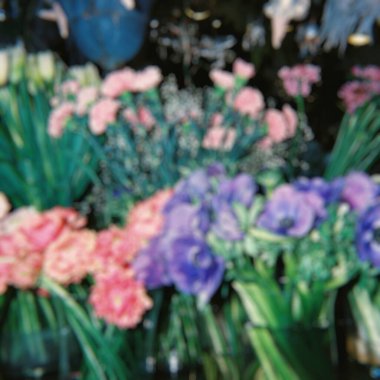 Bahçedeki güzel çiçekler