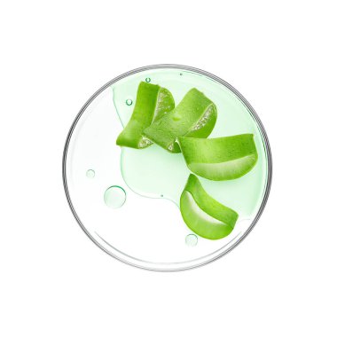 Aloe Vera, beyaz arka planda petri kabını özüyle doğruyor.
