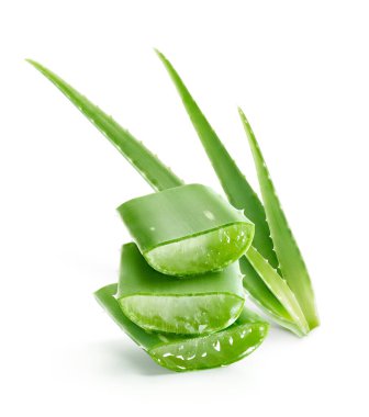 Aloe vera bitkisi yeni parçalanmış bölümleri gösteriyor.