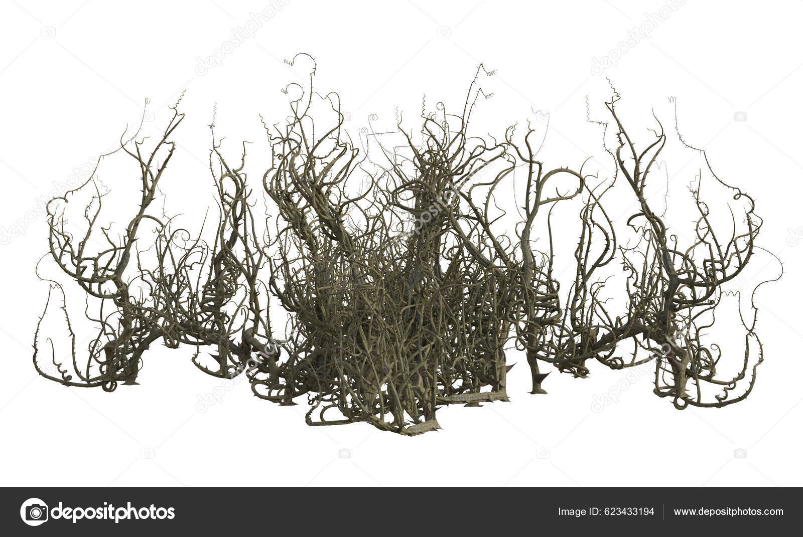 Render Briar Isolated Thorns Stock Photo by ©grbrenders 623433194