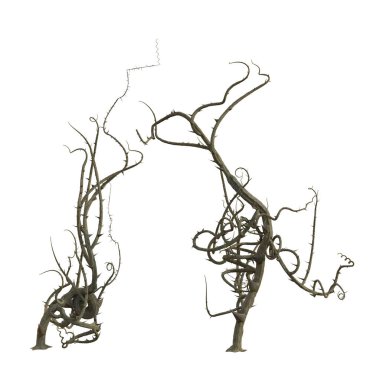 3D yalıtılmış dikenler.