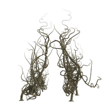 3D yalıtılmış dikenler.