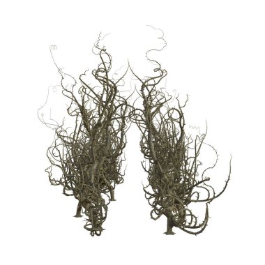 3D yalıtılmış dikenler.