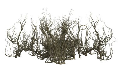 3D yalıtılmış dikenler.