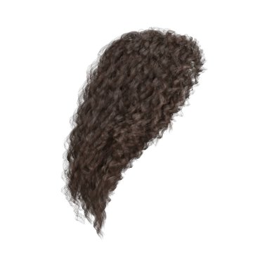 3D kıvırcık kahverengi saç izole edilmiş.