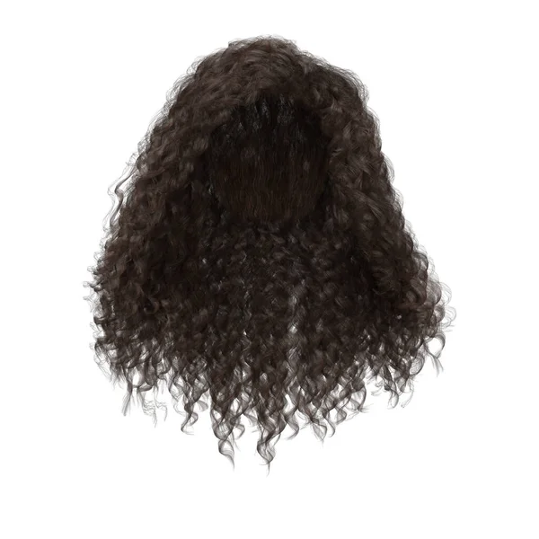 Rendering Curly Brown Hair Isolated — Photo