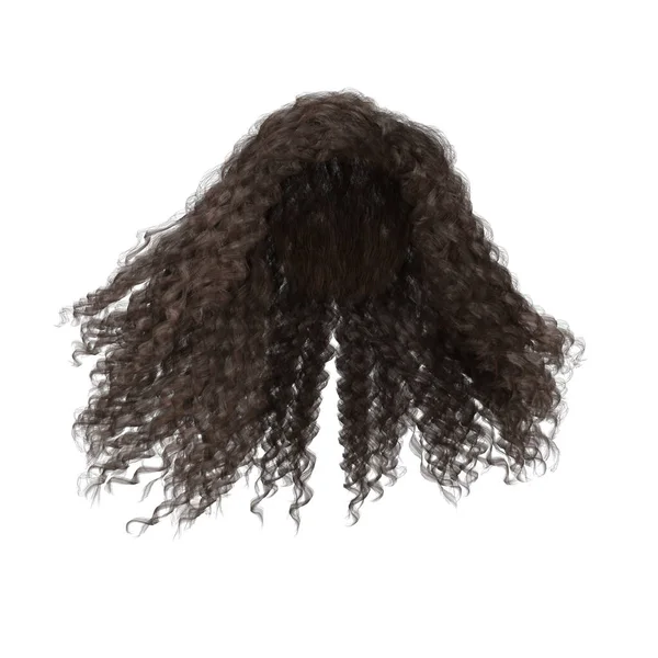 Визуализация Вьющиеся Каштановые Волосы Изолированы — стоковое фото