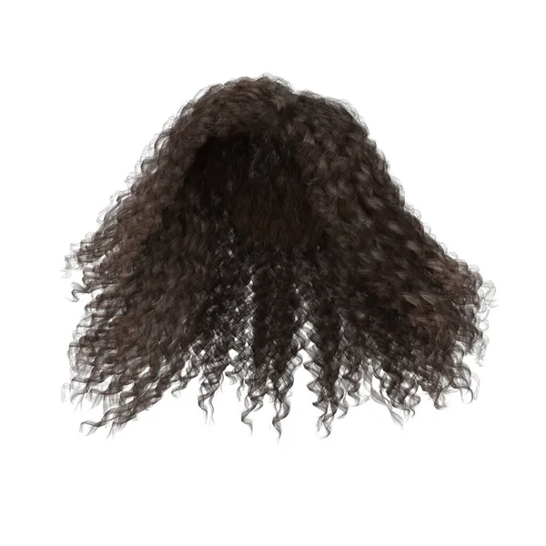 Rendering Curly Brown Hair Isolated — Stock Photo, Image