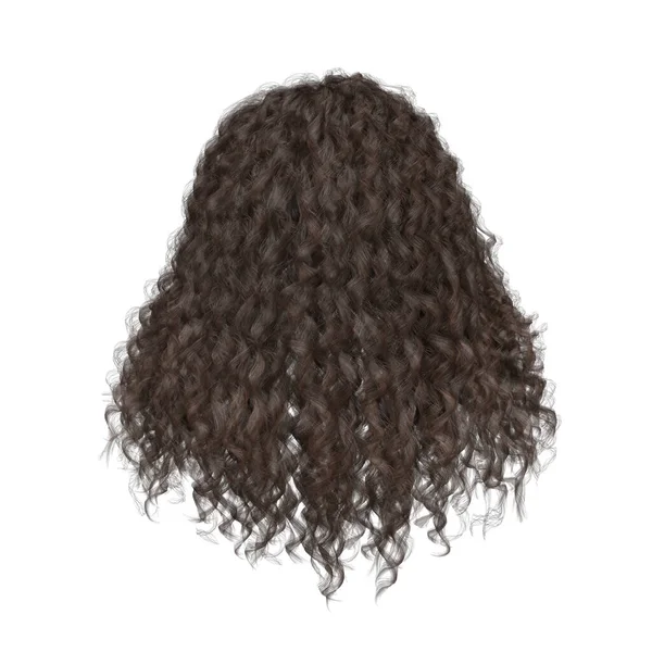 Rendering Curly Brown Hair Isolated — Zdjęcie stockowe